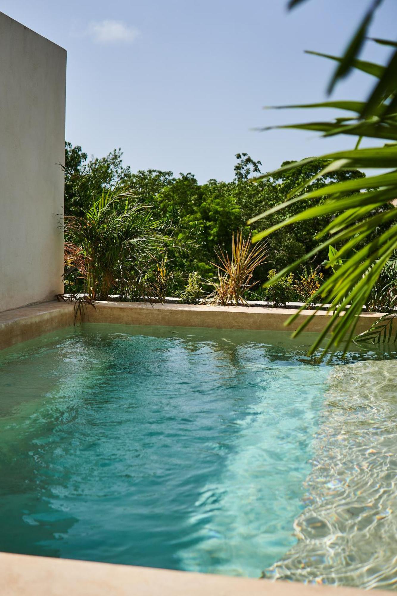 Spacious & Comfy Penthouse Oasis With Plunge Pool Tulum Esterno foto